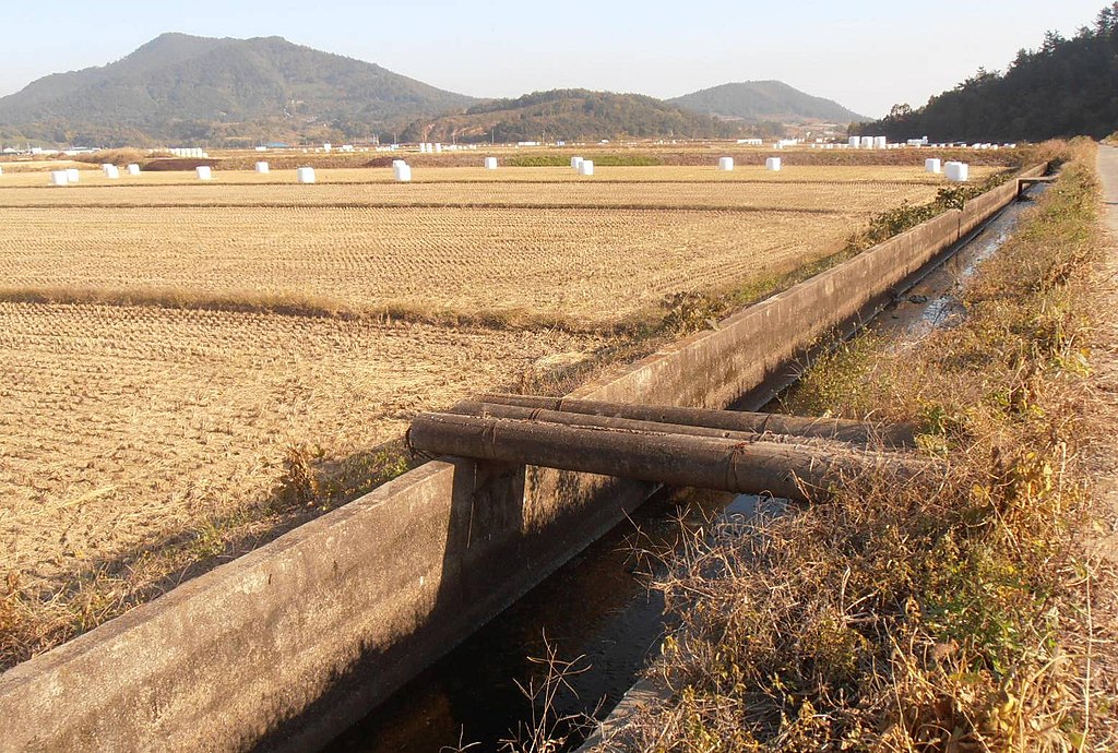 Domaine public. Wikimedia / Sarang Pont pour accéder aux rizières