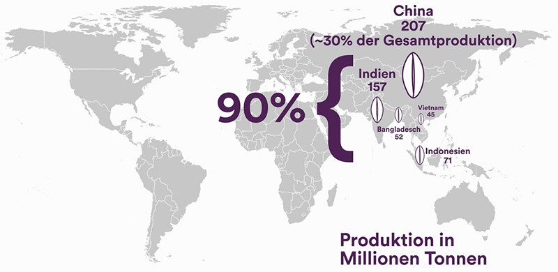 Riz production