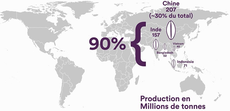 Riz production