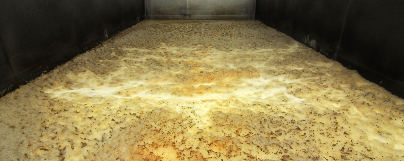 AL004-01 Bière Bac fermentation 