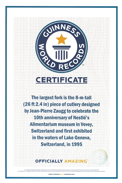 Certificat_Guinness_World_Records_high.png
