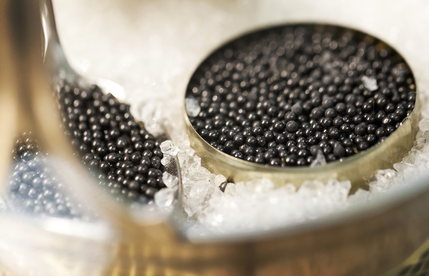 AL002-06 esturgeon Caviar Boîte