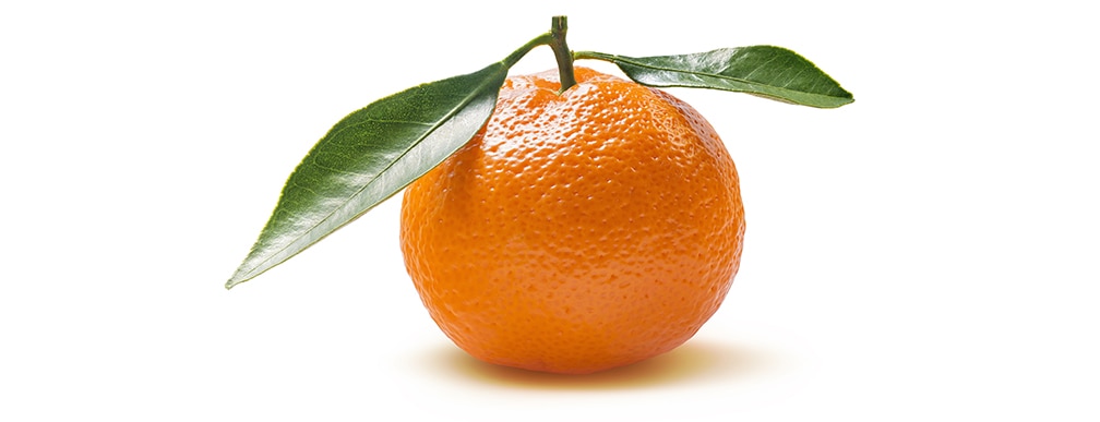 Quelle est la différence entre une mandarine et une clémentine ? - fresh.