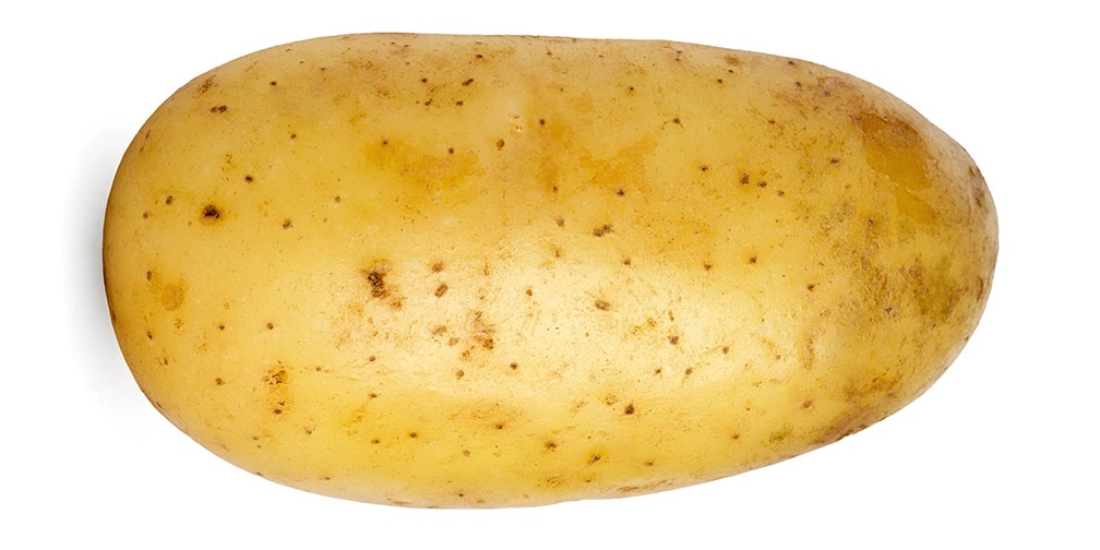 Potato | alimentarium