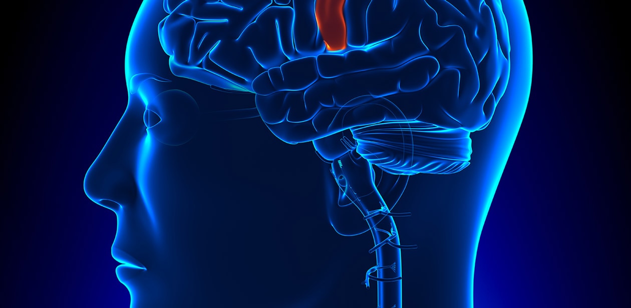 BRAIN_blue_orange_II_00001_toucher.png