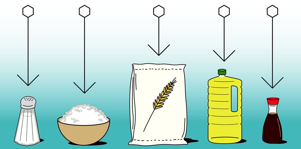 ©Giorgio Pesce Atelier Poisson_cover_food_fortification_01.png