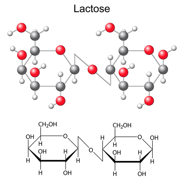 AL032-03 Structure chimique lactose