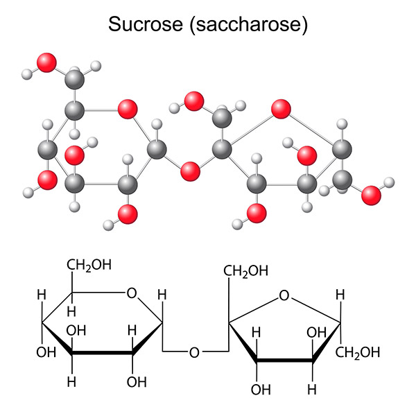 AL032-05 Structure chimique saccharose