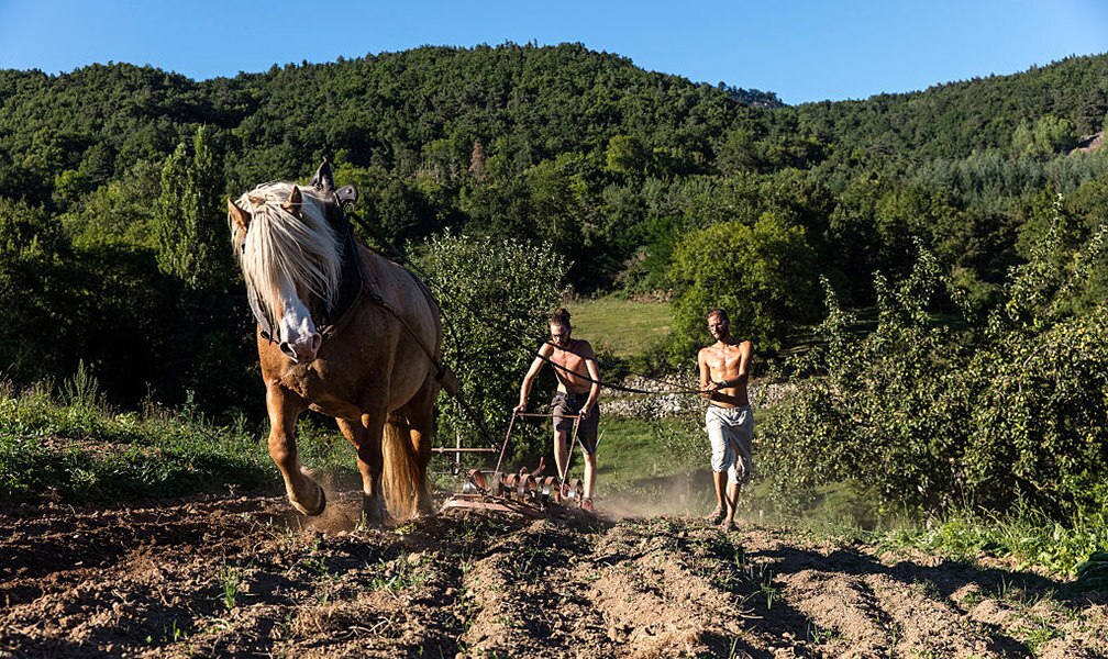 AL033-01 Ferme association Terre-de-liens agriculture biologique Haute-Loire 2016
