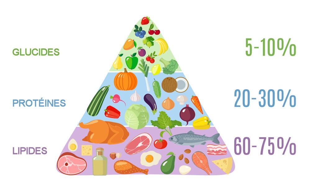 La diète cétogène ou KETO  c'est quoi exactement? –