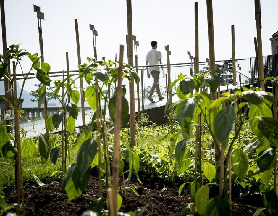 Visite-guidee-jardin-ecoles.jpg