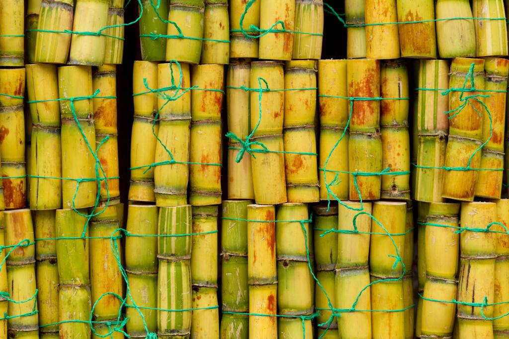 Easy Homemade Rum Made from Sugar Cane 2023 AtOnce