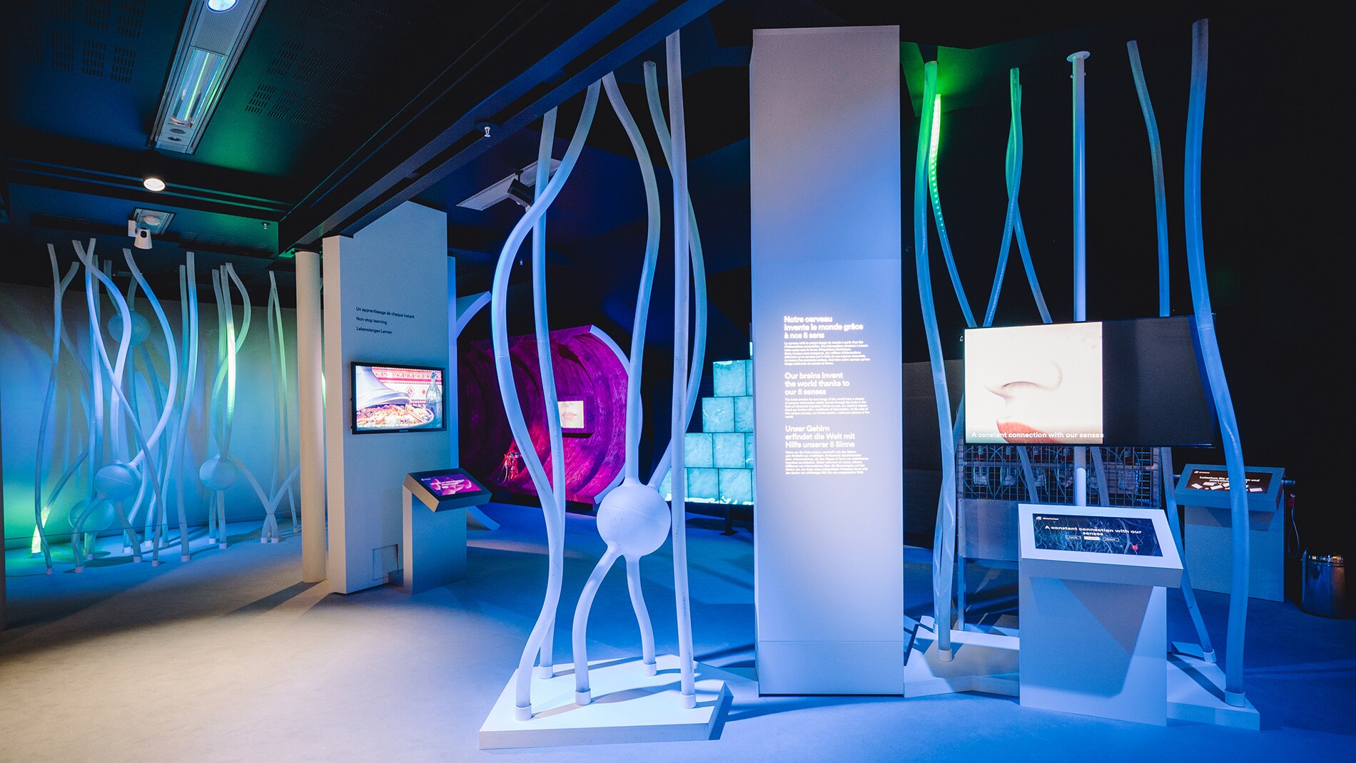 Alimentarium - Expo dégout 251.jpg