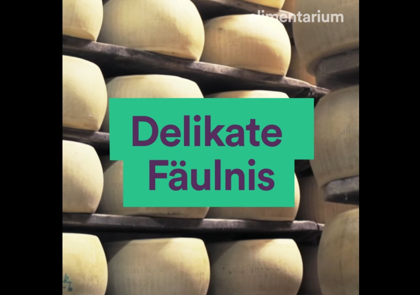 Fermentation: Delikate Fäulnis