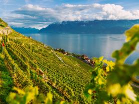 À la découverte du terroir vaudois