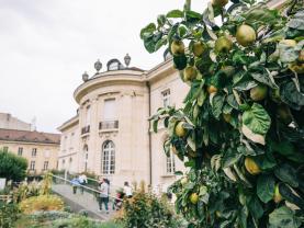 La fete de la nature