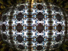 Visite gourmandes artistes