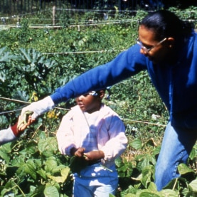 ©Boston Urban Gardeners_Boston-Urban-Gardeners_1_mattapan_garden.png