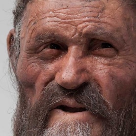 ©Ochsenreite South Tyrol Museum of Archaeology_keyvisual-prehistory-diat.png