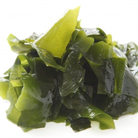 WEB-carré-sasaken-wakame.png