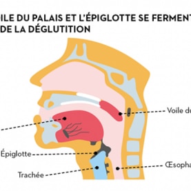 alm_esa_digestion_bouche_fr.png