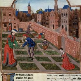 AKG_British-Library_Jardinage_259575_Web2.jpg