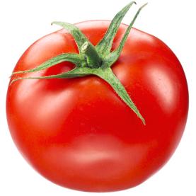 AL001-02 tomate