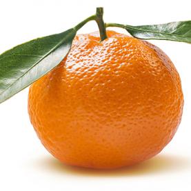 AL012-06 clementine