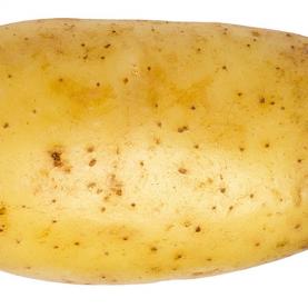 AL027-01_pomme_de_terre.jpg
