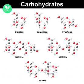 AL032-04_Hydrates_Carbone.jpg