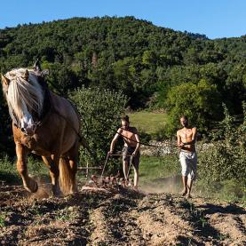 AL033-01 Ferme association Terre-de-liens agriculture biologique Haute-Loire 2016