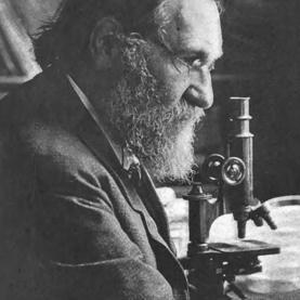 Élie_Metchnikoff_1260x860.jpg