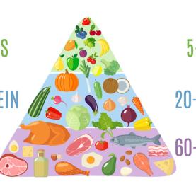 Une pyramide alimentaire originale, où acides gras et protéines composent 80% à 95% des apports conseillés