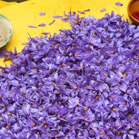 fleurs_crocus_top.jpg