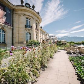 Jardin-alimentarium-vevey-header.jpg