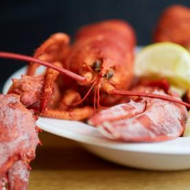 Homard_1260x540_unsplash_Ih9HDG29afU.jpg