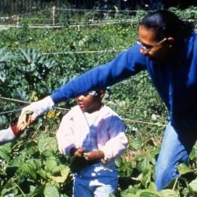 From the garden to curdling milk