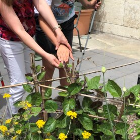 Visites Découvertes