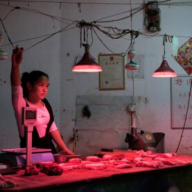 Photo étal boucherie