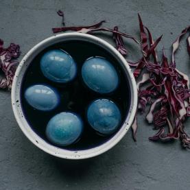 Atelier Oeufs colores