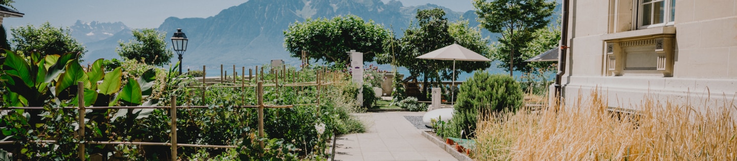 Jardin