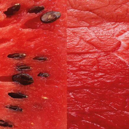 vegan