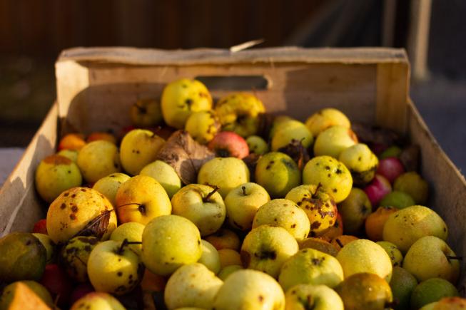 Gaspillage alimentaire