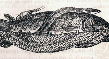 ©poisson-maigre-livre-recettes-beauvilliers-1814_detail.png