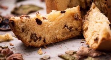 panettone-alimentarium-magazine-2.jpg