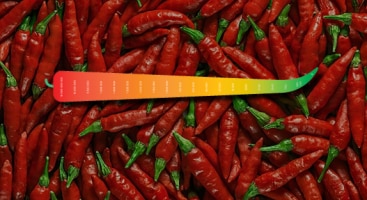 EMAG_INFO_piment_scoville_vignette.png