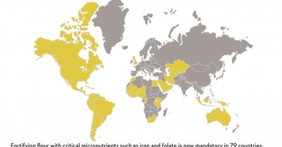 food-fortification-en-2.jpg
