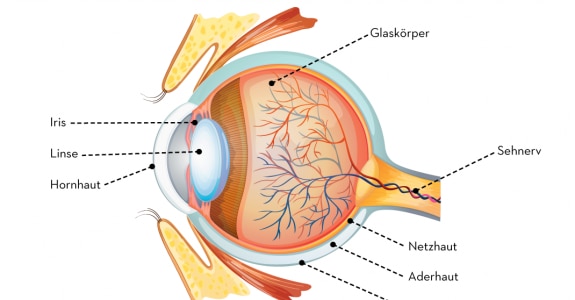 emag4_d2a_oeil-de_800.png