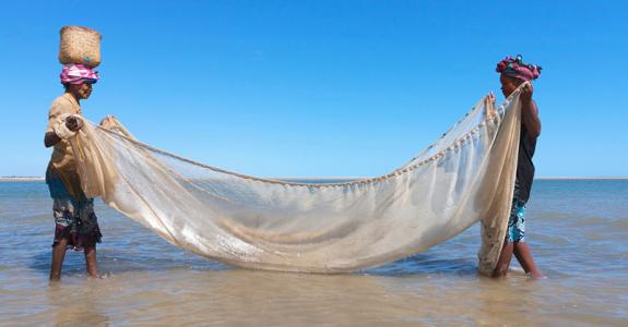 emag4a_d4_madagascar_153873245.jpg