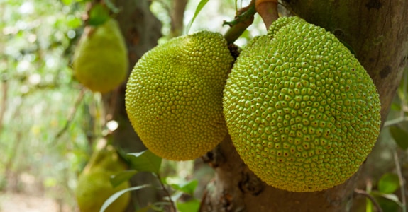 emag4a_d5_polynesie_276333167.png